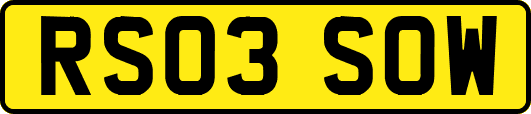RS03SOW
