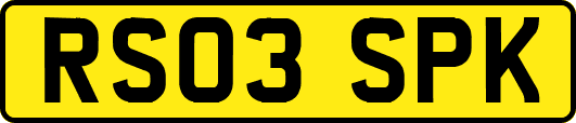 RS03SPK