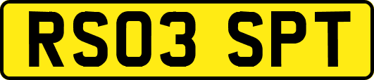 RS03SPT