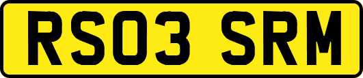 RS03SRM