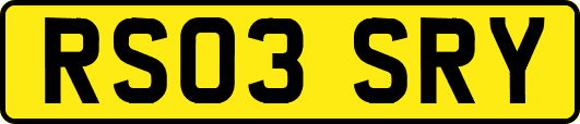 RS03SRY