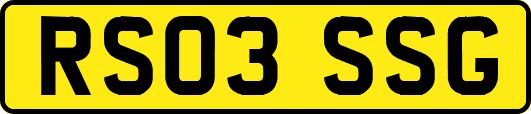 RS03SSG