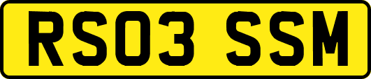 RS03SSM