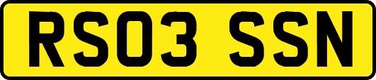 RS03SSN
