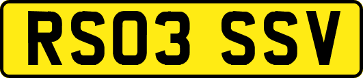 RS03SSV