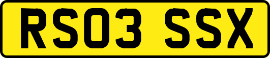 RS03SSX