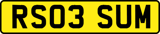 RS03SUM