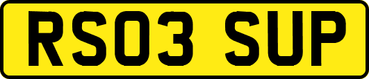 RS03SUP