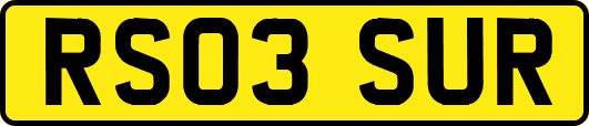 RS03SUR