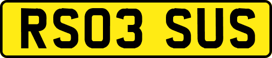 RS03SUS