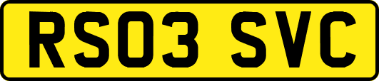 RS03SVC