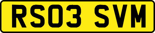 RS03SVM