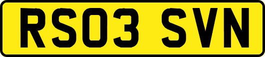 RS03SVN