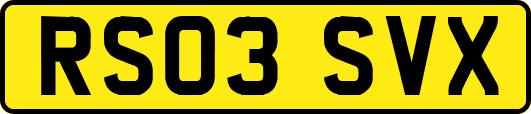 RS03SVX