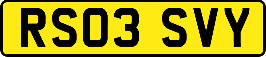 RS03SVY