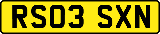 RS03SXN