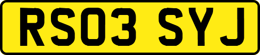 RS03SYJ
