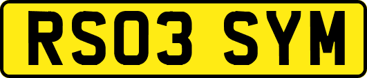 RS03SYM