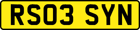 RS03SYN