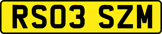 RS03SZM