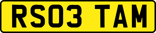RS03TAM