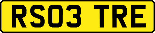 RS03TRE