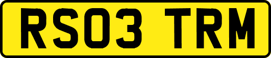 RS03TRM