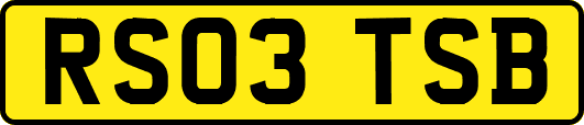 RS03TSB