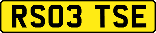 RS03TSE