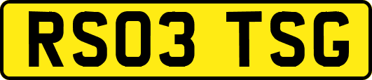 RS03TSG
