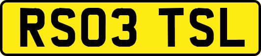 RS03TSL