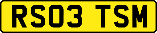 RS03TSM