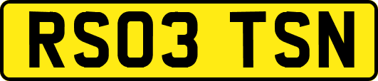 RS03TSN