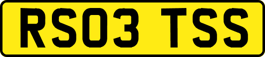 RS03TSS