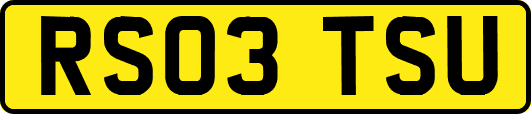 RS03TSU