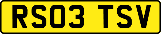 RS03TSV