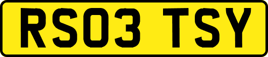 RS03TSY