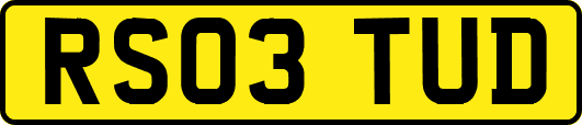 RS03TUD
