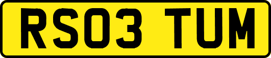RS03TUM
