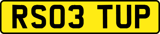 RS03TUP