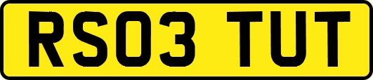 RS03TUT