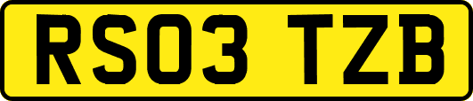 RS03TZB