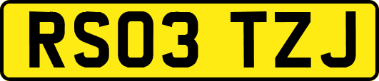 RS03TZJ