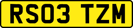 RS03TZM
