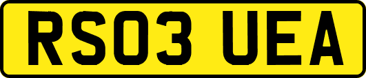 RS03UEA