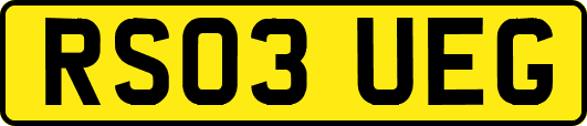 RS03UEG