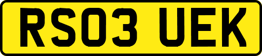 RS03UEK