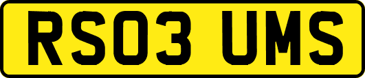 RS03UMS