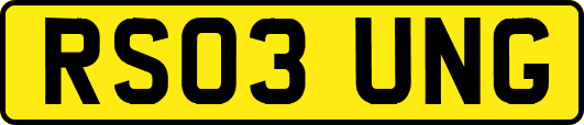 RS03UNG