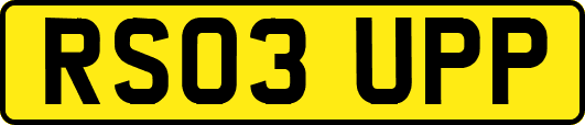 RS03UPP